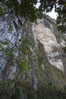 Mount Roraima Venezuela akışından