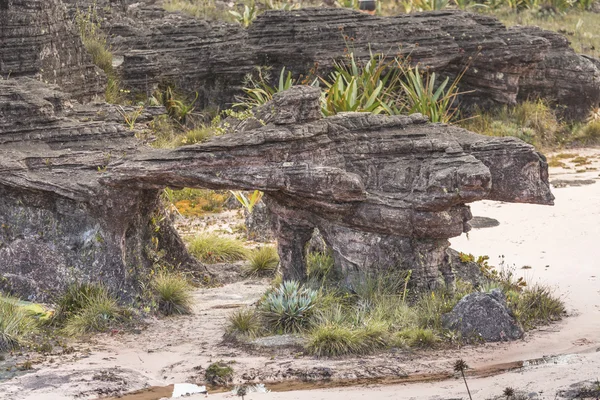 高原の高地ロライマ - ベネズエラの奇妙な古代の岩, — ストック写真