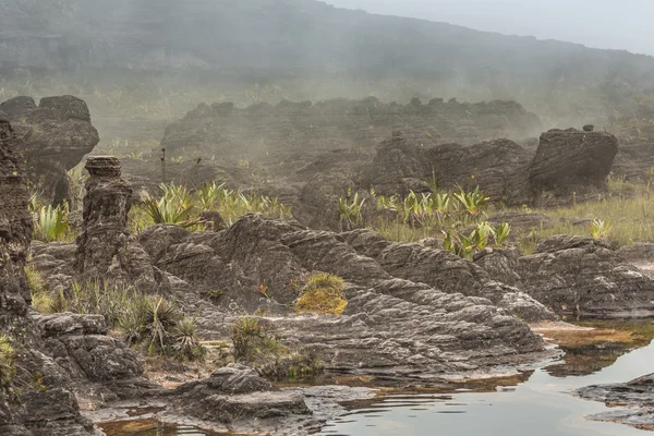 Bizarre ancient rocks of the plateau Roraima tepui - Venezuela, — Stock Photo, Image