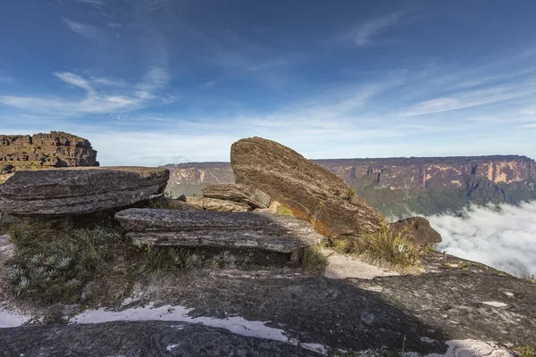 从罗赖马 tepui 上 Kukenan tepui 看雾-Venez — 图库照片