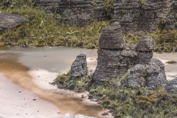 Bizarre ancient rocks of the plateau Roraima tepui - Venezuela, — Stock Photo, Image