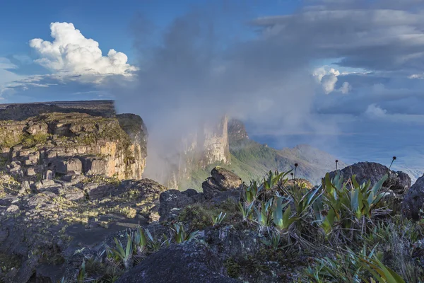 Sentiero giù dall'altopiano Roraima passa sotto una cascata - Venez — Foto Stock