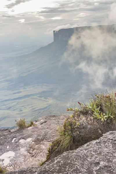 Θέα από το tepui Roraima στις Kukenan tepui σε ομίχλη - Venez — Φωτογραφία Αρχείου