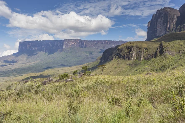 Tablemountain roraima mit wolken, venezuela, lateinamerika. — Stockfoto