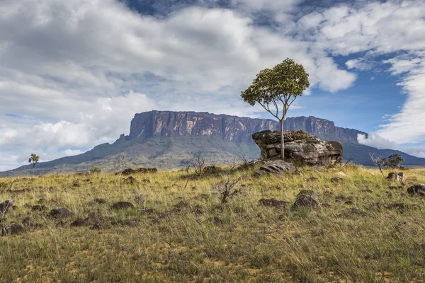 雲、ベネズエラ、ラテン アメリカと Tablemountain ロライマ. — ストック写真