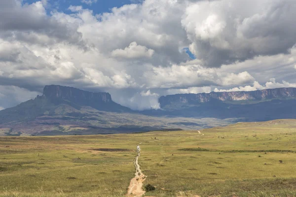 Camino al Monte Roraima - Venezuela, América del Sur —  Fotos de Stock