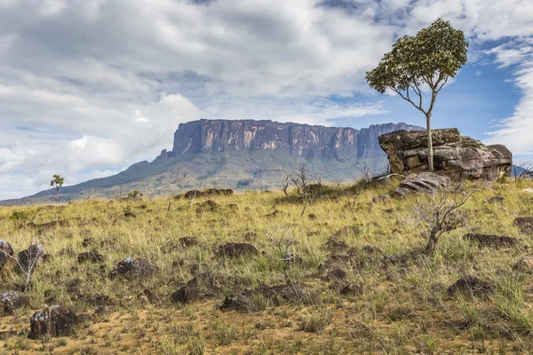 Tablemountain Roraima med moln, Venezuela, Latinamerika. — Stockfoto