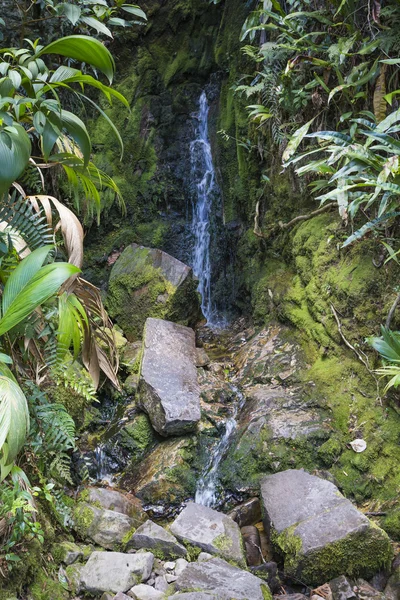 Stream dal Monte Roraima in Venezuela — Foto Stock