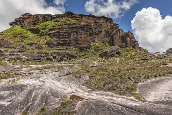 Bizarre oude rotsen van het plateau Roraima tepui - Venezuela, — Stockfoto