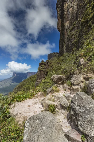 Vista do Roraima tepui em Kukenan tepui na névoa - Venez — Fotografia de Stock