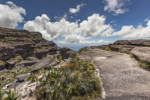 Trail down from the plateau Roraima passes under a falls - Venez — Stock Photo, Image