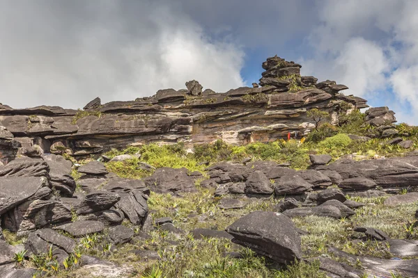 Bizarre oude rotsen van het plateau Roraima tepui - Venezuela, — Stockfoto