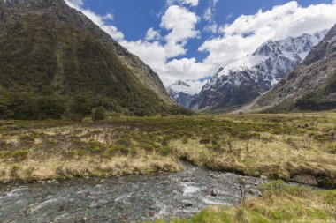 Milford yol fiordland nat manzarasında cleddau Vadisi
