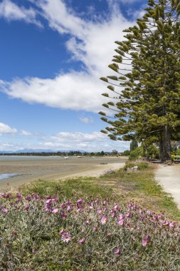 Abel Tasman Ulusal Parkı, Güney Adası, yeni Ze sakin Denizi