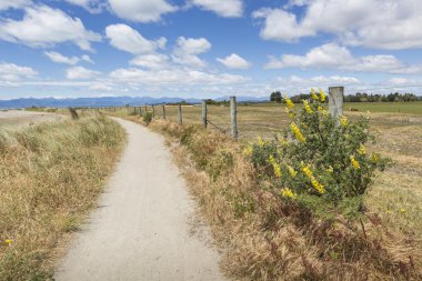 Abel Tasman Ulusal Parkı, Güney Adası, yeni Ze sakin Denizi