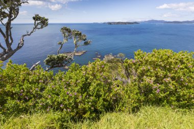 Russell Paihia, Bay Islands, Yeni Zelanda yakınındaki üzerinden manzara