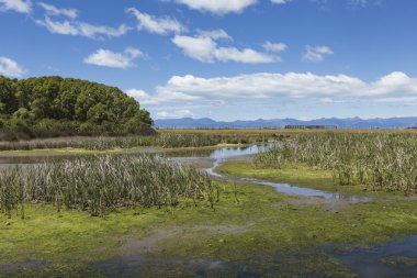 Motueka manzara Abel Tasman Ulusal Park, South Island yakınındaki, 