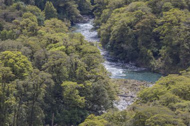 uçurum (fiordland, south Island, Yeni Zelanda)