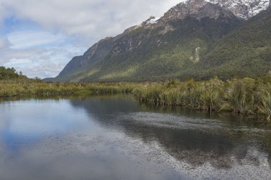 uçurum (fiordland, south Island, Yeni Zelanda)