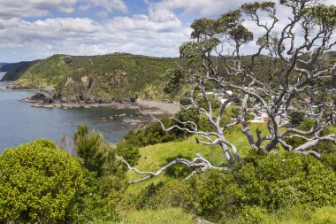 Russell Paihia, Bay Islands, Yeni Zelanda yakınındaki üzerinden manzara