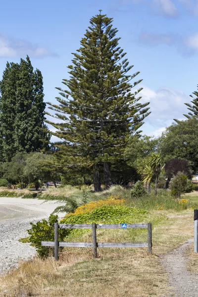 Abel Tasman Ulusal Parkı, Güney Adası, yeni Ze sakin Denizi — Stok fotoğraf