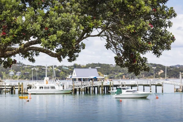 Russell near Paihia, Bay of Islands, New Zealand — Stock Photo, Image