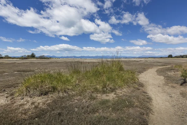 Paesaggio Motueka vicino al Parco Nazionale Abel Tasman, Isola del Sud , — Foto Stock