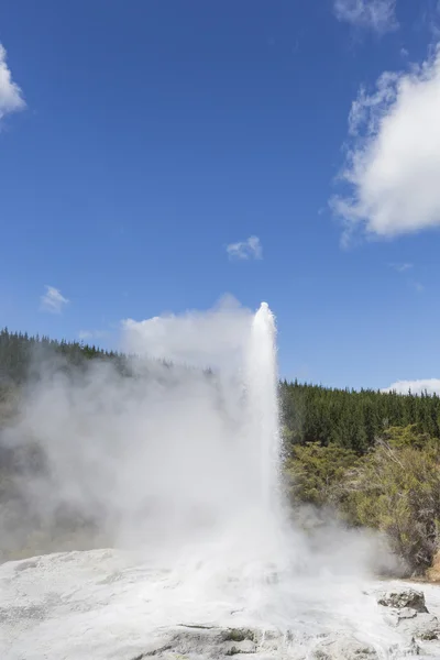 Pohutu Geyser, New Zealand — Stock Photo, Image