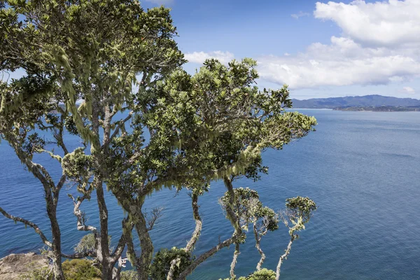 Landskap från Russell nära Paihia, Bay of Islands, Nya Zeeland — Stockfoto