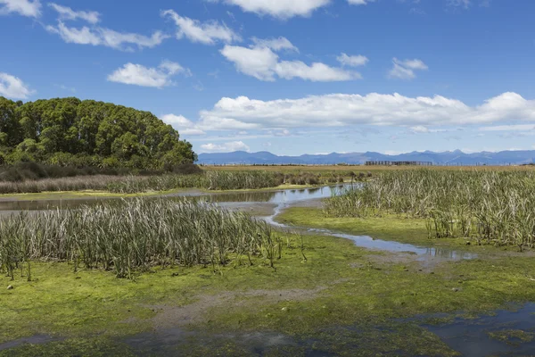 Paesaggio Motueka vicino al Parco Nazionale Abel Tasman, Isola del Sud , — Foto Stock