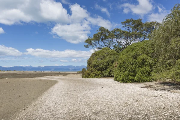 Spokojnych mórz Ze nowy Park Narodowy Abel Tasman, Południowa wyspa, — Zdjęcie stockowe