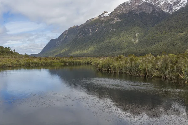 Le gouffre (Fiordland, Île du Sud, Nouvelle-Zélande ) — Photo