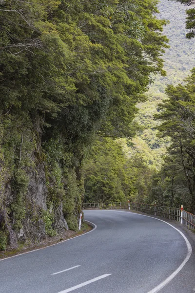 Milford road cleddau údolí s výhledem na fiordland nat — Stock fotografie