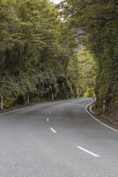 Strada di Milford lungo la valle del Cleddau con la vista di Fiordland Nat — Foto Stock