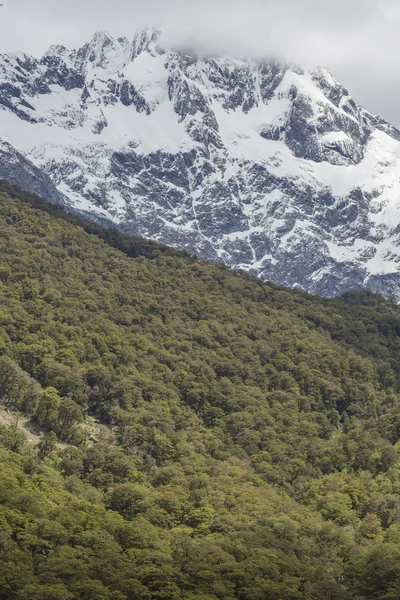 Το χάσμα (fiordland, Νότιο νησί, Νέα Ζηλανδία) — Φωτογραφία Αρχείου