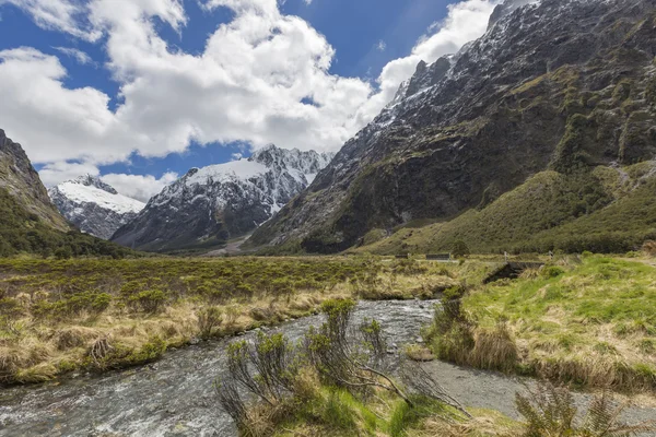 Milford straße entlang cleddau tal mit blick auf fiordland nat — Stockfoto