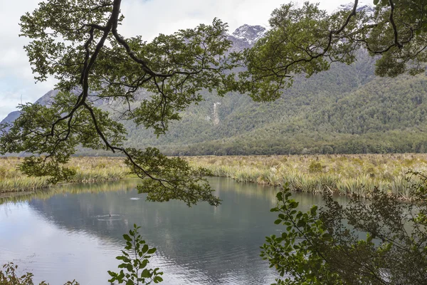 Przepaść (fiordland, Południowa wyspa, Nowa Zelandia) — Zdjęcie stockowe