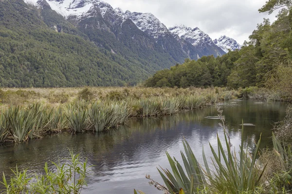 Klyftan (fiordland, Sydön, Nya Zeeland) — Stockfoto