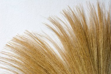 Çimen süpürgesi beyaz beton duvarda izole edilmiş.