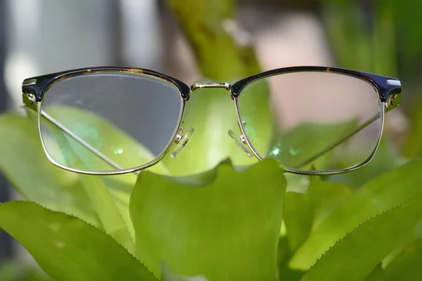 自然を背景にした眼鏡 ライフスタイルコンセプト — ストック写真