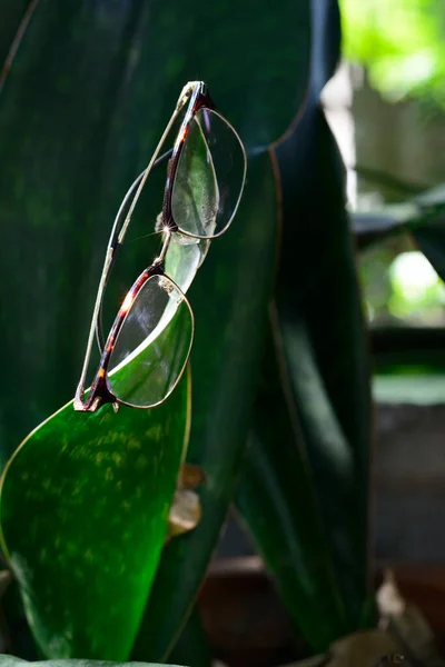 Szemüveg Természetes Háttérrel Életmód Koncepció — Stock Fotó
