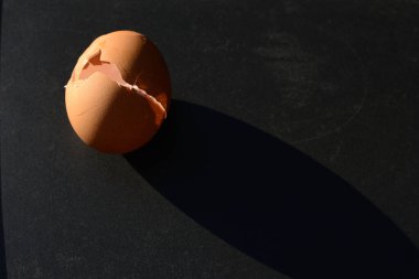 Koyu arka planda izole edilmiş tavuk yumurtası..