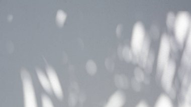 Özet beyaz beton duvar dokusu üzerinde arkaplan ve duvar kağıdı için doğal gölge arkaplanı bırakır.