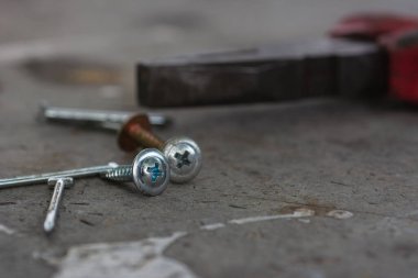 Ceviz, vida, doğal arka planda genel tamirci araçları.