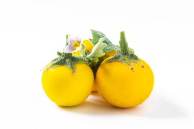 Sarı brinjal bitkisi beyaz arkaplanda izole edildi.