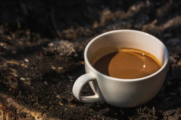 Taza Café Blanco Sobre Fondo Luz Natural —  Fotos de Stock