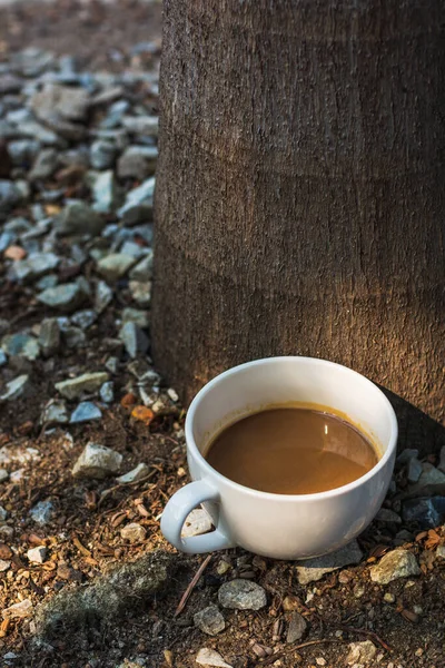 Taza Café Blanco Sobre Fondo Luz Natural —  Fotos de Stock