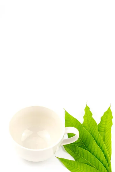 Empty White Coffee Cup Mango Leaves Isolated White Background — 图库照片