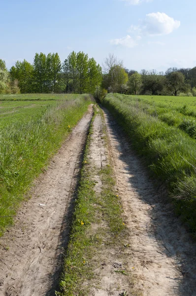 Paisaje rural Polonia Oriental — Foto de Stock