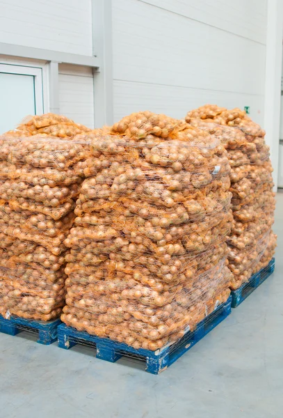 Zwiebeln auf Paletten — Stockfoto